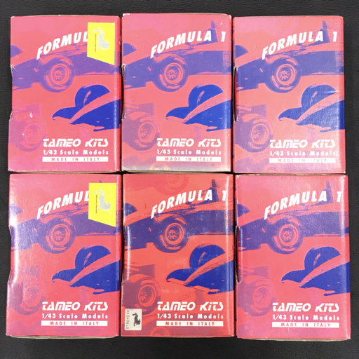 TAMEO KITS 1:43 フェラーリ F2001 マレーシアG.P.2001 TMK295 等 メタルキット 保存箱付き 6点セット